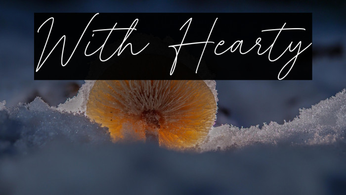 With Hearty Example 3