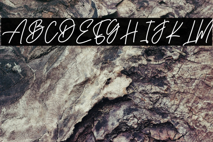 With Night Example 1