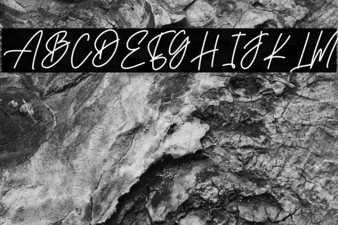 With Night Fuentes examples