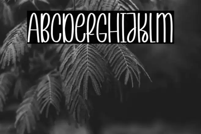 With Snowman Caratteri examples