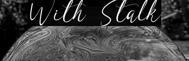 With Stalk Schriftart examples