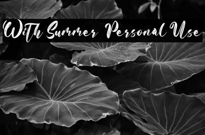 With Summer - Personal Use Schriftart examples