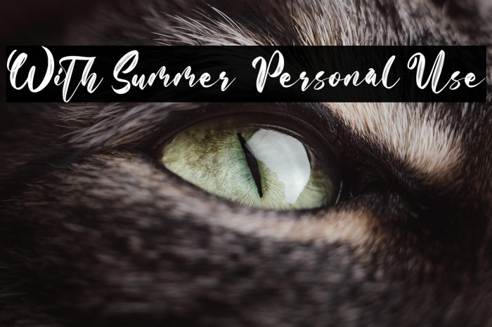 With Summer - Personal Use Example 2