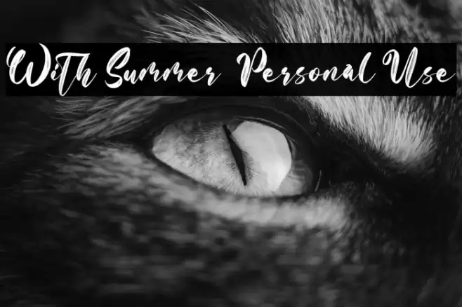 With Summer - Personal Use Schriftart examples