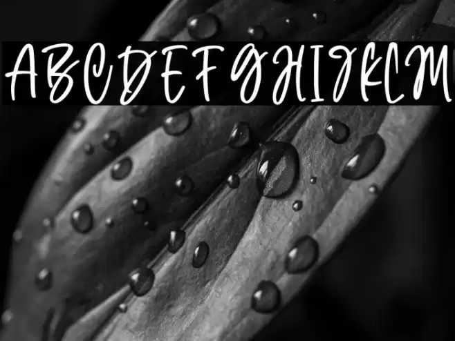 With You Font examples