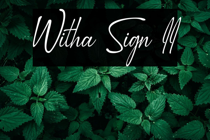 Witha Sign II Example 1