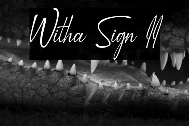 Witha Sign II Font examples