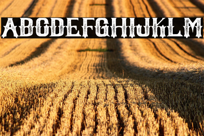 Witham Rough Example 1