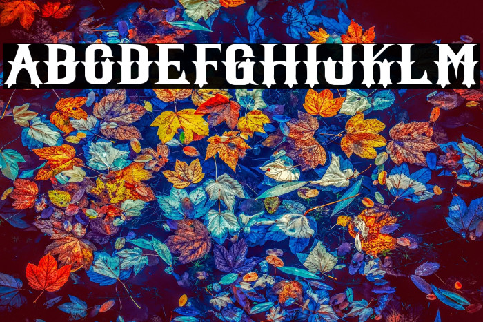 Witham Solid Example 2