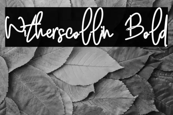 Witherscollin Bold Font examples