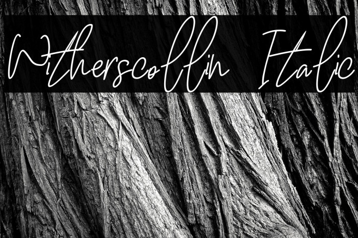 Witherscollin Italic Example 3