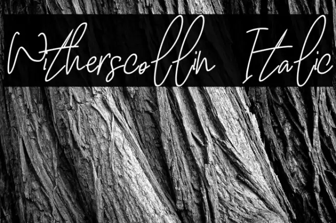 Witherscollin Italic Font examples