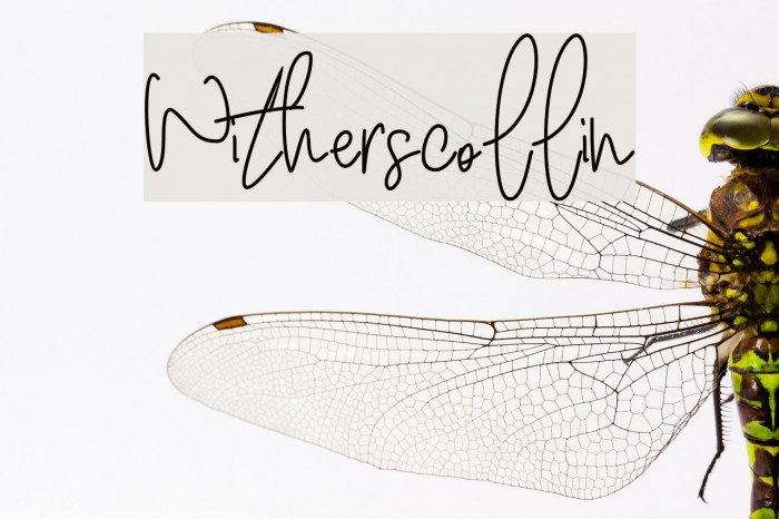 Witherscollin Font examples