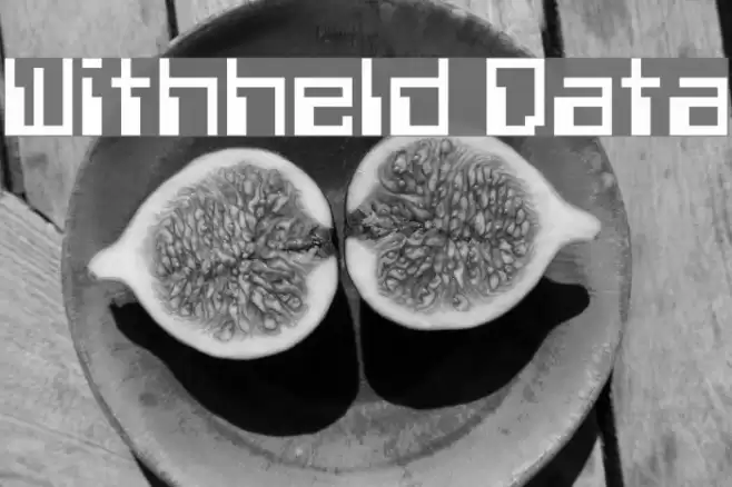 Withheld Data フォント examples