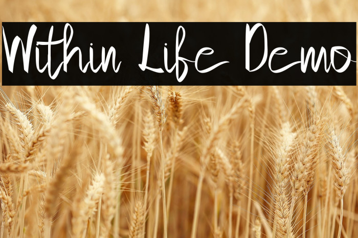 Within Life Demo Example 1