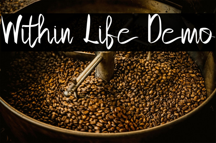 Within Life Demo Example 2