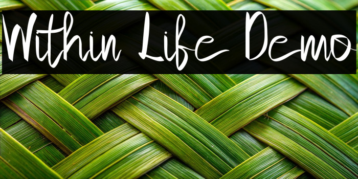 Within Life Demo Example 3