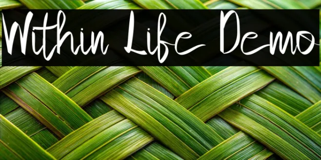 Within Life Demo Example 3