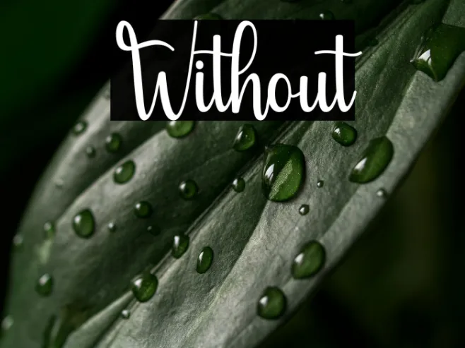 Without Example 1