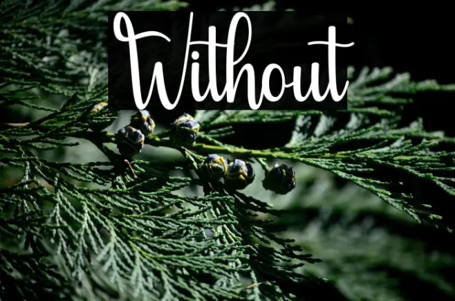 Without Example 3