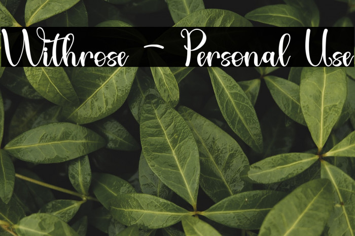 Withrose - Personal Use Example 1