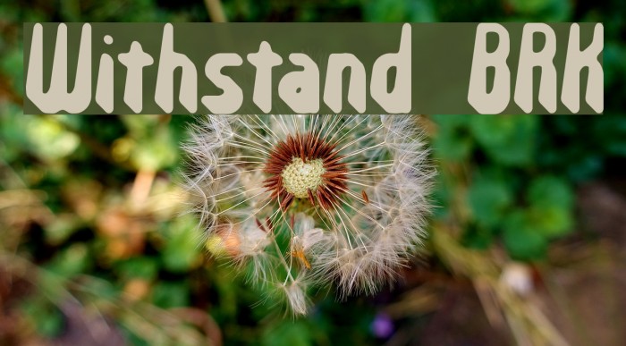 Withstand BRK Font examples