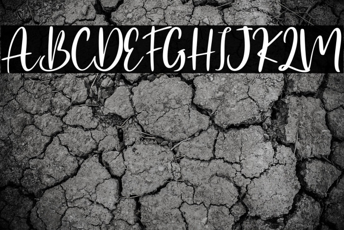 Withyou - Personal Use Example 1