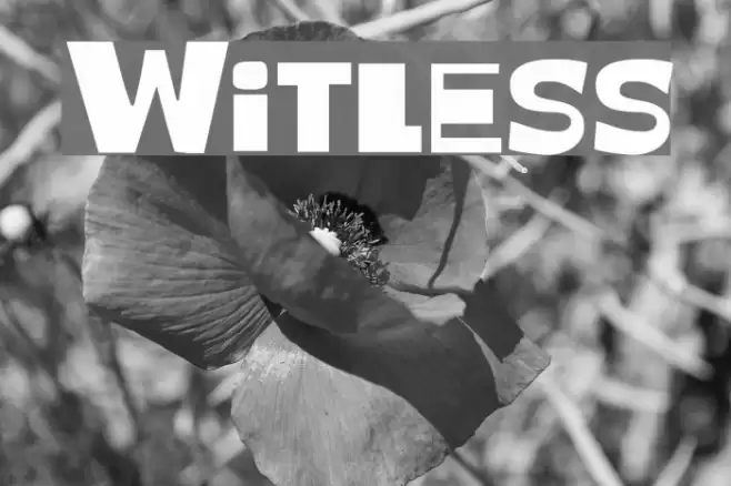 Witless Font examples