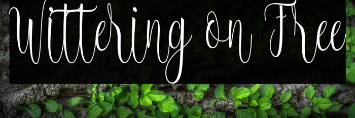 Wittering on Free Example 1