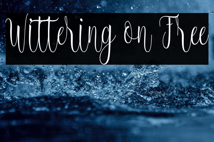 Wittering on Free Example 2