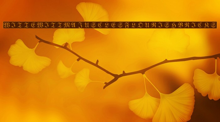 WittewittMajuscles-FlourishBricks Font examples
