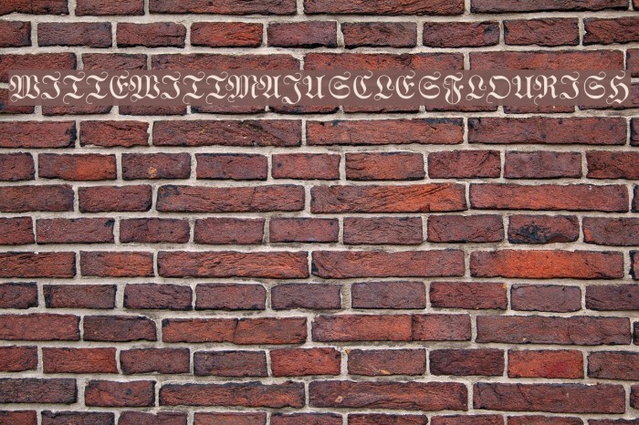 WittewittMajuscles-Flourish Font examples