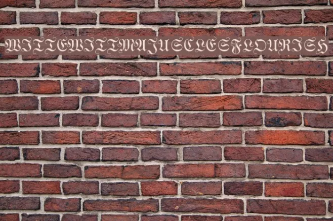 WittewittMajuscles-Flourish Example 1