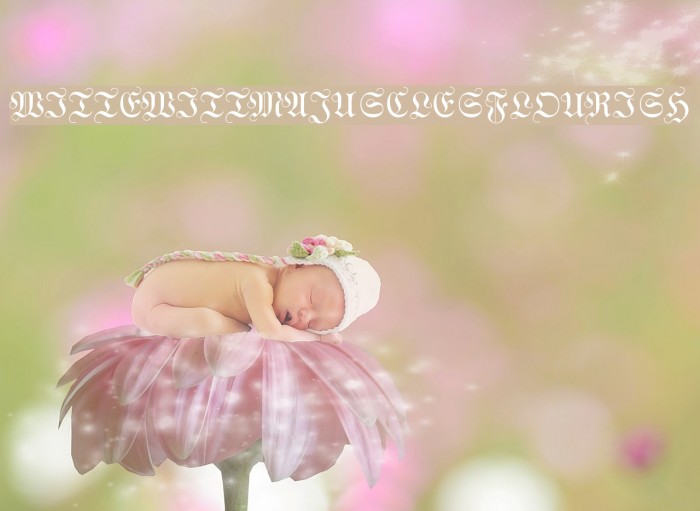 WittewittMajuscles-Flourish Font examples