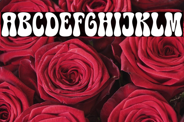 Wizard DEMO Example 1