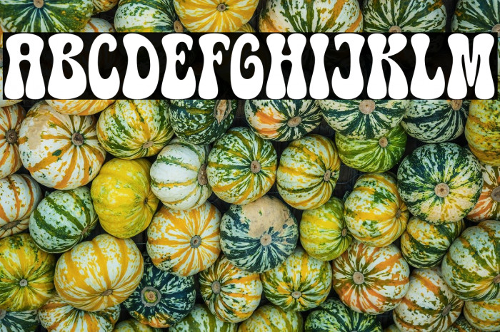 Wizard DEMO Example 3