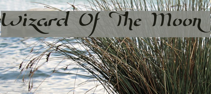 Wizard Of The Moon Font examples