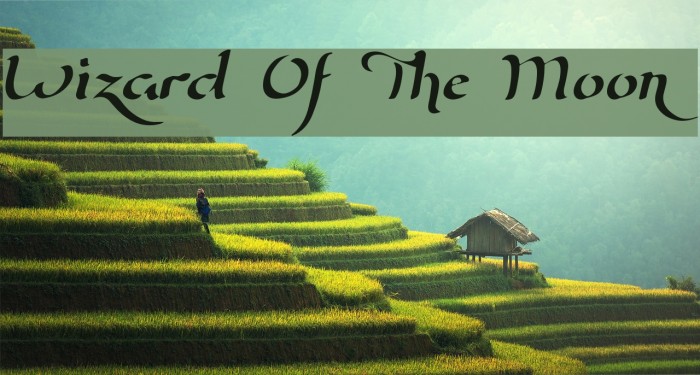 Wizard Of The Moon Font examples