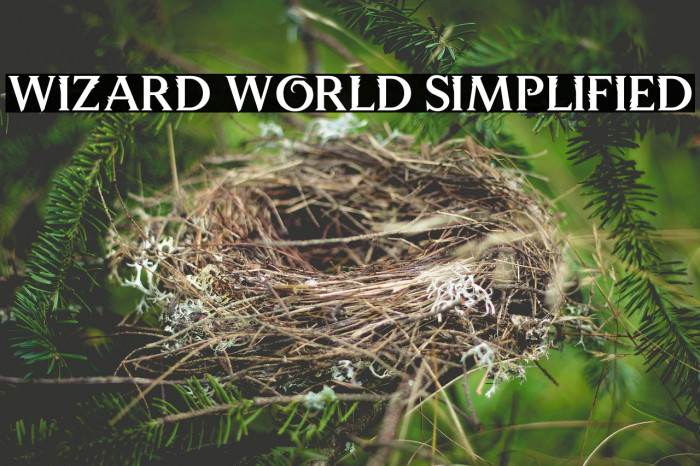 Wizard World Simplified Fonte examples