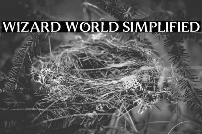 Wizard World Simplified Fonte examples