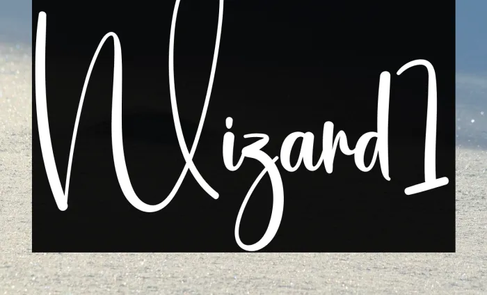 Wizard1 Example 1