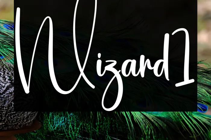 Wizard1 Example 3