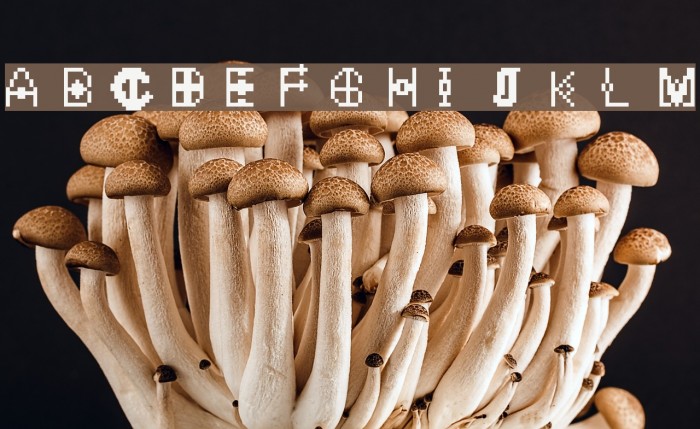 WizardPixel Font examples