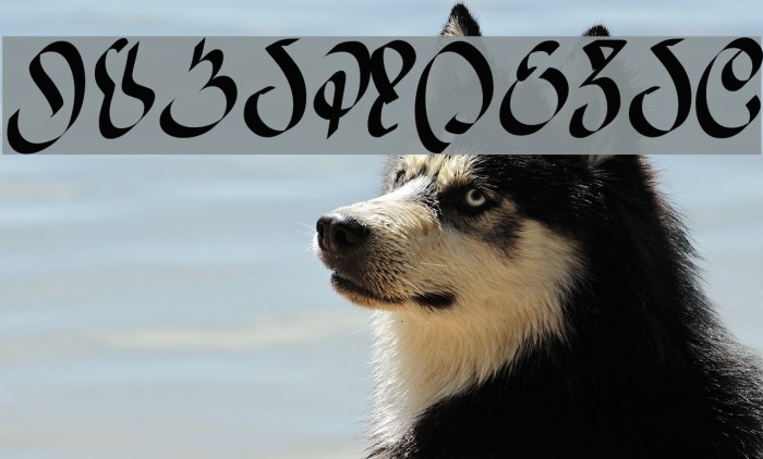 WizardSpeak Font examples