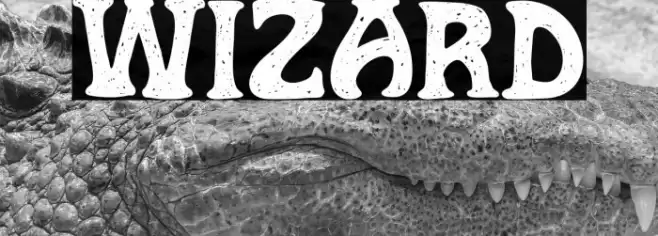 Wizard Schriftart examples