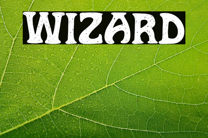 Wizard Example 2