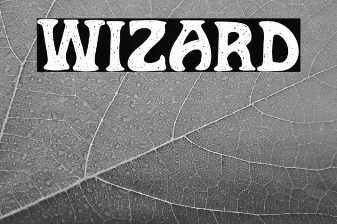 Wizard Schriftart examples
