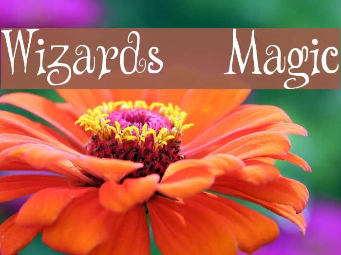 Wizards' Magic Example 3