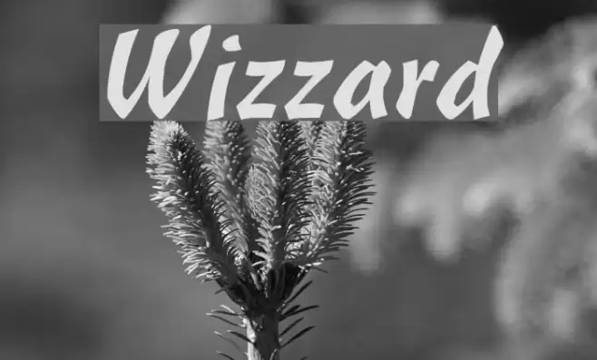 Wizzard Font examples