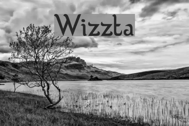 Wizzta Polices examples